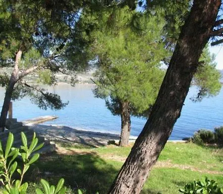 Mari Trogir